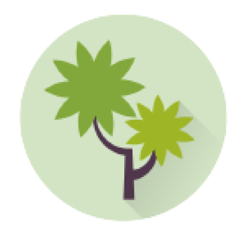 icon3